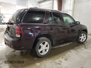 2008 Chevrolet TrailBlazer 3LT with VIN 1GNDT13S982166326, listed as a Copart auction lot 50881325 with 159,781 mi miles and Salvage Title. Bid and sale history available at DreamBid. Image 3.