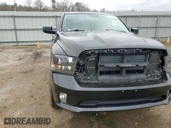 2015 Ram 1500 Express with VIN 1C6RR7KG8FS717136, listed as a Copart auction lot 46044175 with 120,002 mi miles and Salvage title. Bid and sale history available at DreamBid. Image 10.