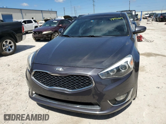 2014 Kia Cadenza Premium with VIN KNALN4D71E5133001, listed as a Copart auction lot 73171624 with 136,539 mi miles and Clean Title. Bid and sale history available at carsss.com. Image 5.