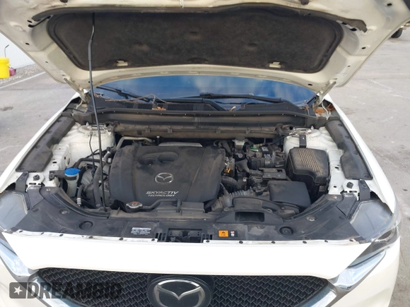 2019 Mazda CX-5 Sport with VIN JM3KFABMXK1655302, listed as a IAAI auction lot 41901293 with 140,369 mi miles and . Bid and sale history available at DreamBid. Image 10.