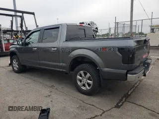 2019 Ford F-150 XL with VIN 1FTEW1E41KFC39126, listed as a Copart auction lot 61358815 with 43,765 mi miles and Salvage title. Bid and sale history available at DreamBid. Image 2.
