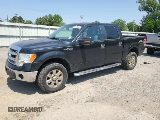 2013 Ford F-150 XL with VIN 1FTFW1EF7DKE74291, listed as a Copart auction lot 53245535 with 175,088 mi miles and Salvage Title. Bid and sale history available at carsss.com. Image 1.