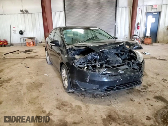 2015 Ford Focus SE with VIN 1FADP3F21FL336812, listed as a Copart auction lot 49853655 with 0 mi miles and Clean Title. Bid and sale history available at carsss.com. Image 11.