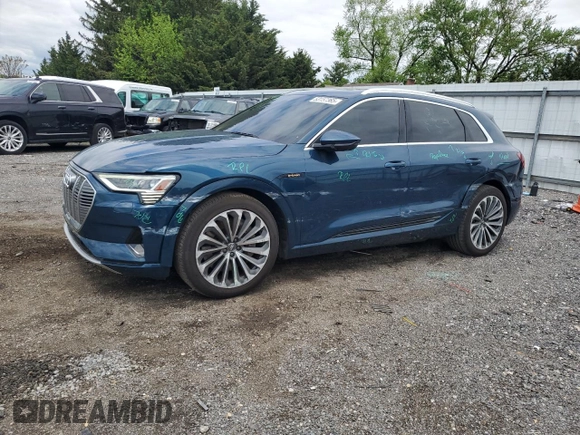 2019 Audi e-tron Prestige with VIN WA1VABGE2KB019280, listed as a Copart auction lot 53157365 with 53,912 mi miles and Salvage title. Bid and sale history available at DreamBid. Image 1.