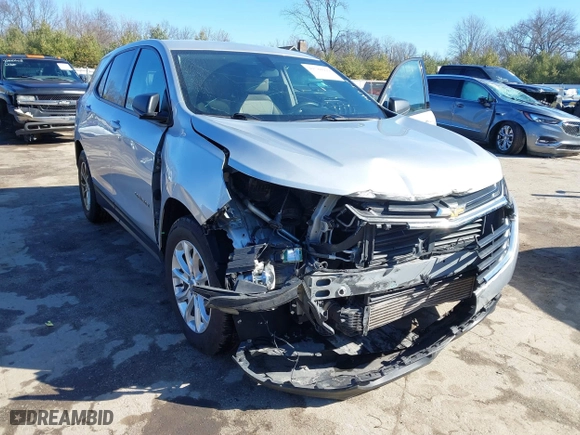 2019 Chevrolet Equinox LS with VIN 2GNAXHEV4K6155073, listed as a IAAI auction lot 41780929 with 126,193 mi miles. Bid and sale history available at carsss.com. Image 6.