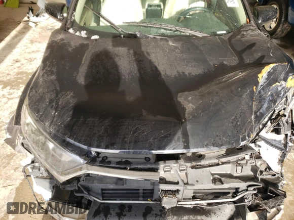 2017 Honda CR-V EX-L with VIN 5J6RW2H89HL018688, listed as a Copart auction lot 46598855 with Not Provided miles and Salvage Title. Bid and sale history available at DreamBid. Image 12.
