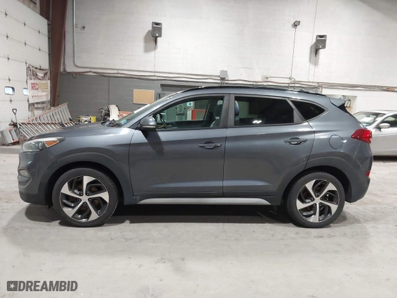 2018 Hyundai Tucson Value with VIN KM8J3CA22JU688957, listed as a IAAI auction lot 41868195 with 117,256 mi miles. Bid and sale history available at carsss.com. Image 14.