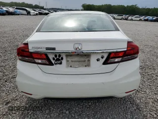 2015 Honda Civic LX with VIN 19XFB2F50FE115636, listed as a Copart auction lot 53855065 with Not Provided miles and Salvage Title. Bid and sale history available at DreamBid. Image 6.