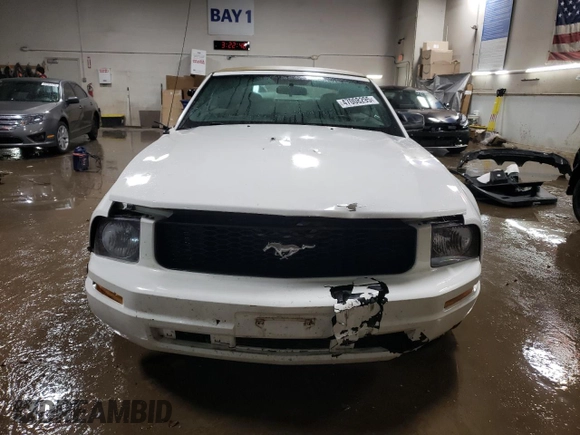 2008 Ford Mustang Deluxe with VIN 1ZVHT84N785193936, listed as a Copart auction lot 47008295 with 112,696 mi miles and Salvage Title. Bid and sale history available at carsss.com. Image 5.