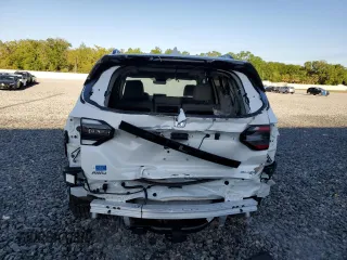 2024 Honda Pilot Elite with VIN 5FNYG1H81RB043050, listed as a Copart auction lot 49341735 with 10,782 mi miles and Salvage Title. Bid and sale history available at carsss.com. Image 6.