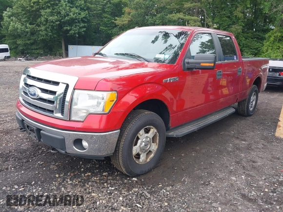 2011 Ford F-150 XL with VIN 1FTFW1EF1BKD16168, listed as a IAAI auction lot 42659851 with 256,032 mi miles and . Bid and sale history available at DreamBid. Image 2.