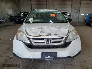 2010 Honda CR-V EX with VIN 5J6RE4H55AL013997, listed as a Copart auction lot 50903125 with 146,394 mi miles and Non Repairable. Bid and sale history available at carsss.com. Image 5.