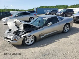 1999 Chevrolet Corvette with VIN 1G1YY22G0X5116807, listed as a Copart auction lot 51869185 with Not provided miles and Salvage title. Bid and sale history available at DreamBid. Image 1.