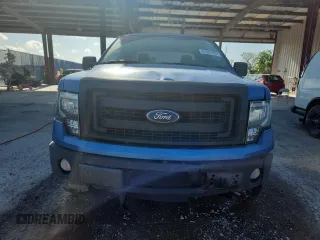 2013 Ford F-150 XL z VIN 1FTEX1CM8DFB16460, wystawiony jako Copart lot #62287905 z przebiegiem 132 461 mil mil oraz Szkoda całkowita • Salvage title. Historia ofert i sprzedaży dostępna na DreamBid. Obrazek 5.