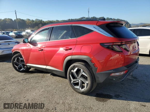 2022 Hyundai Tucson Limited with VIN 5NMJECAE9NH051862, listed as a Copart auction lot 76161144 with 124,690 mi miles and Salvage Title. Bid and sale history available at carsss.com. Image 2.