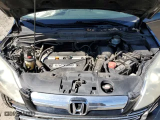 2009 Honda CR-V EX-L with VIN 5J6RE38759L011075, listed as a Copart auction lot 49556205 with 183,305 mi miles and Salvage Title. Bid and sale history available at carsss.com. Image 12.