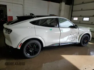 2021 Ford Mustang Mach-E GT with VIN 3FMTK4SE4MME00245, listed as a Copart auction lot 48055665 with 98,078 mi miles and Salvage Title. Bid and sale history available at DreamBid. Image 3.