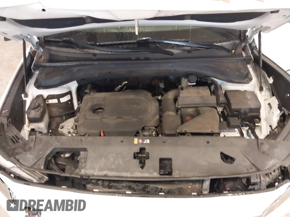 2019 Hyundai Santa Fe Limited with VIN 5NMS5CAD2KH021934, listed as a IAAI auction lot 40726332 with 52,994 mi miles. Bid and sale history available at carsss.com. Image 10.