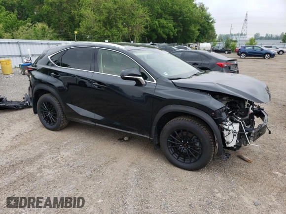 2021 Lexus NX 300 with VIN JTJGARDZ1M2256342, listed as a Copart auction lot 58736975 with 53,085 mi miles and Clean title. Bid and sale history available at DreamBid. Image 4.