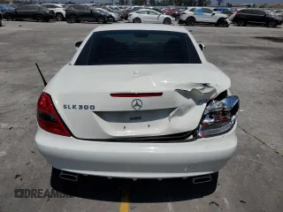 2010 Mercedes-Benz SLK 300 with VIN WDBWK5EA0AF232677, listed as a Copart auction lot 64066045 with 113,726 mi miles and Salvage title. Bid and sale history available at DreamBid. Image 6.