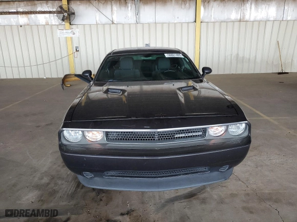 2013 Dodge Challenger SXT with VIN 2C3CDYAG1DH607266, listed as a Copart auction lot 50801405 with 165,177 mi miles and Salvage Title. Bid and sale history available at carsss.com. Image 5.