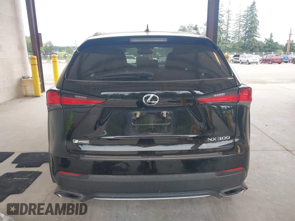 2018 Lexus NX 300 with VIN JTJBARBZ1J2163748, listed as a IAAI auction lot 42703096 with 75,290 mi miles and . Bid and sale history available at DreamBid. Image 17.