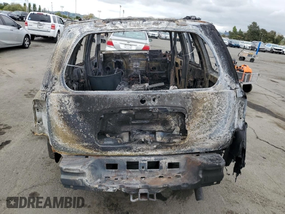 2004 Chevrolet TrailBlazer LT with VIN 1GNDS13S642252321, listed as a Copart auction lot 53674575 with Not Provided miles and Non Repairable. Bid and sale history available at DreamBid. Image 6.