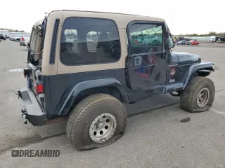 2002 Jeep Wrangler Sahara with VIN 1J4FA59S02P740550, listed as a Copart auction lot 47607795 with 182,187 mi miles and Salvage Title. Bid and sale history available at carsss.com. Image 3.
