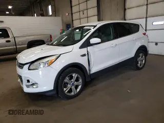 2013 Ford Escape SE z VIN 1FMCU9G91DUA74516, wystawiony jako Copart lot #54197845 z przebiegiem 209 473 mil mil oraz Szkoda całkowita • Salvage title. Historia ofert i sprzedaży dostępna na DreamBid. Obrazek 1.