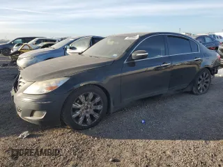 2009 Hyundai Genesis with VIN KMHGC46E69U029097, listed as a Copart auction lot 48698605 with 217,263 mi miles and Salvage Title. Bid and sale history available at DreamBid. Image 1.