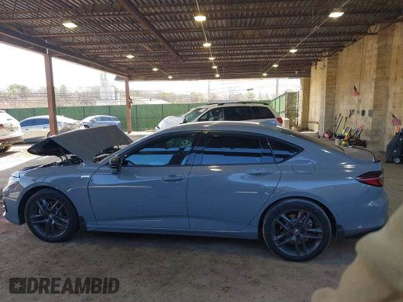 2025 Acura TLX w/A-Spec Package with VIN 19UUB6F53SA000302, listed as a IAAI auction lot 41806125 with 5,000 mi miles and . Bid and sale history available at DreamBid. Image 14.