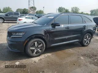 2021 Kia Sorento S with VIN 5XYRL4LC0MG009082, listed as a Copart auction lot 59318565 with 117,219 mi miles and Salvage title. Bid and sale history available at DreamBid. Image 1.
