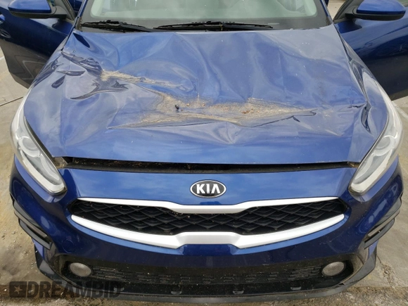 2019 Kia Forte LXS with VIN 3KPF24AD2KE034285, listed as a Copart auction lot 52869435 with 49,695 mi miles and Salvage title. Bid and sale history available at DreamBid. Image 11.