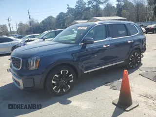 2024 Kia Telluride SX X-Line with VIN 5XYP5DGC0RG485674, listed as a Copart auction lot 48816625 with 24,056 mi miles and Salvage Title. Bid and sale history available at carsss.com. Image 1.