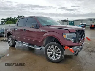 2009 Ford F-150 XL with VIN 1FTRW128X9FA32446, listed as a Copart auction lot 60648505 with 210,587 mi miles and Salvage title. Bid and sale history available at DreamBid. Image 4.
