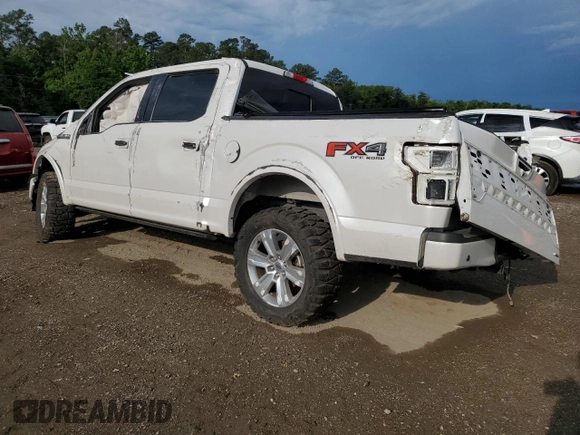 2019 Ford F-150 XL with VIN 1FTEW1E47KFD09339, listed as a Copart auction lot 55217015 with 74,539 mi miles and Salvage title. Bid and sale history available at DreamBid. Image 2.
