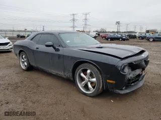 2010 Dodge Challenger R/T with VIN 2B3CJ5DT2AH122661, listed as a Copart auction lot 46820555 with 119,935 mi miles and Salvage Title. Bid and sale history available at carsss.com. Image 4.