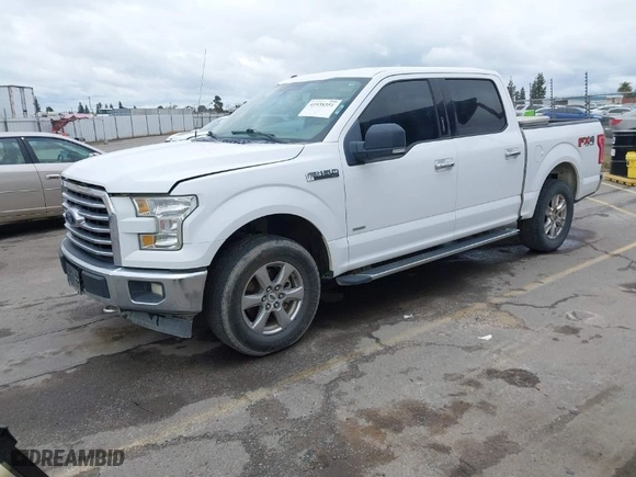 2017 Ford F-150 XL with VIN 1FTEW1EP5HKC36028, listed as a IAAI auction lot 41938351 with 234,687 mi miles. Bid and sale history available at carsss.com. Image 2.