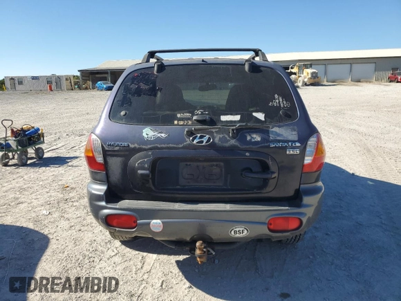 2004 Hyundai Santa Fe GLS with VIN KM8SC13E14U601747, listed as a Copart auction lot 76769864 with 190,446 mi miles and Salvage Title. Bid and sale history available at carsss.com. Image 6.