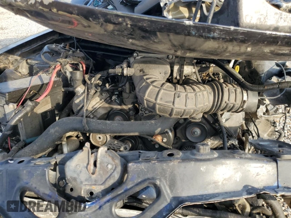 2008 Ford Mustang GT Deluxe with VIN 1ZVHT85H585148521, listed as a Copart auction lot 43408265 with Not Provided miles and Salvage Title. Bid and sale history available at DreamBid. Image 12.