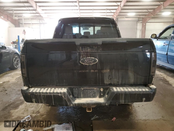 2016 Ford F-150 XLT with VIN 1FTEW1EP7GFC08626, listed as a Copart auction lot 48559925 with 125,121 mi miles and Clean title. Bid and sale history available at DreamBid. Image 6.