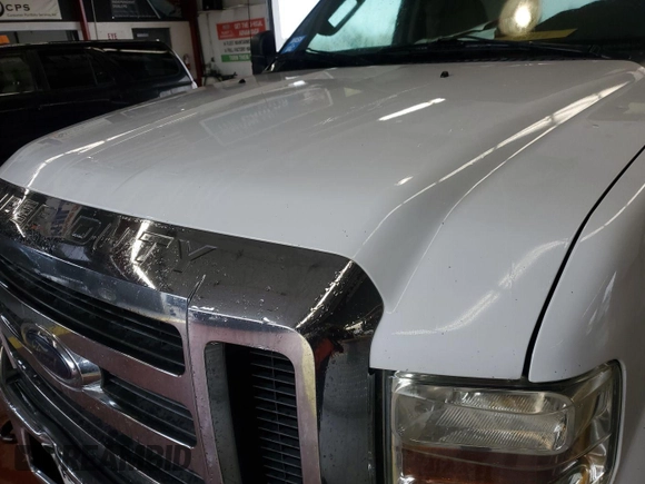 2009 Ford F-250 XL with VIN 1FTNX20529EA11705, listed as a IAAI auction lot 42759030 with 272,233 mi miles and . Bid and sale history available at DreamBid. Image 1.