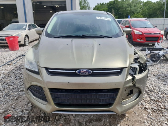 2013 Ford Escape SE with VIN 1FMCU0G95DUA54779, listed as a Copart auction lot 58428065 with 195,284 mi miles and Clean title. Bid and sale history available at DreamBid. Image 5.