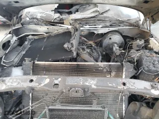 1999 Dodge Ram 1500 with VIN 3B7HF13Z5XG236246, listed as a Copart auction lot 41916105 with 0 mi miles and Salvage Title. Bid and sale history available at carsss.com. Image 12.
