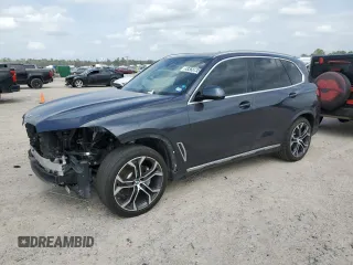 2020 BMW X5 sDrive40i with VIN 5UXCR4C09L9C40204, listed as a Copart auction lot 48368735 with 52,795 mi miles and Salvage Title. Bid and sale history available at carsss.com. Image 1.