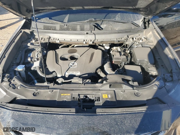 2016 Mazda CX-9 Signature with VIN JM3TCBEY5G0119145, listed as a Copart auction lot 87877495 with 103,433 mi miles and Salvage Title. Bid and sale history available at carsss.com. Image 14.