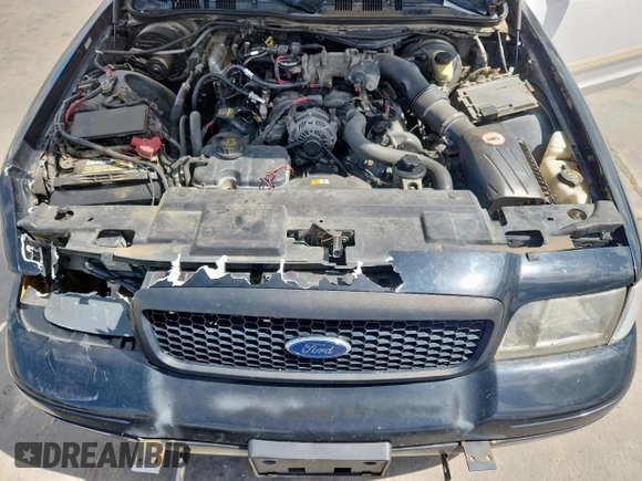 2010 Ford Police Interceptor with VIN 2FABP7BV0AX146445, listed as a Copart auction lot 62375055 with Not provided miles and Salvage title. Bid and sale history available at DreamBid. Image 11.