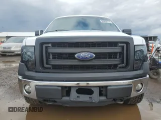 2014 Ford F-150 XL with VIN 1FTEX1EM7EKG10153, listed as a Copart auction lot 55842715 with 175,056 mi miles and Salvage title. Bid and sale history available at DreamBid. Image 5.