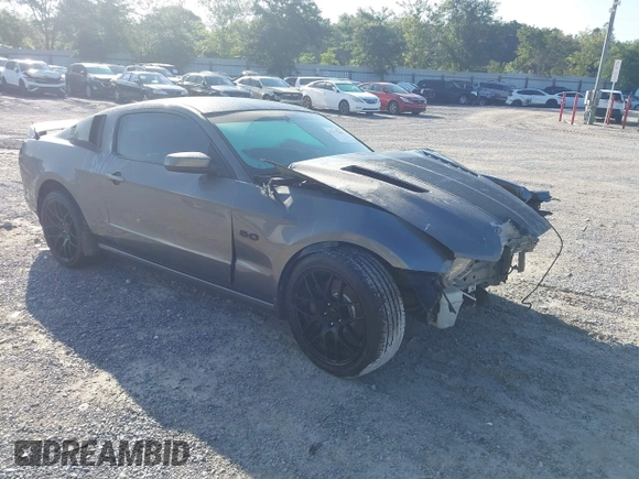 2014 Ford Mustang GT with VIN 1ZVBP8CF4E5246348, listed as a IAAI auction lot 42375301 with 159,687 mi miles and . Bid and sale history available at DreamBid. Image 1.