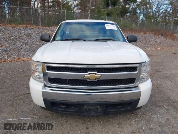 2008 Chevrolet Silverado 1500 Work Truck with VIN 1GCEK14C28Z246081, listed as a IAAI auction lot 40815734 with 137,738 mi miles. Bid and sale history available at carsss.com. Image 12.